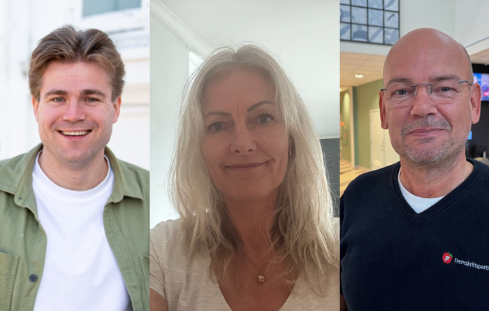 Dette vil de fronte på Stortinget