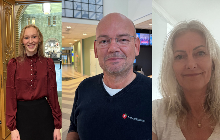 Har fått tildelt komiteene