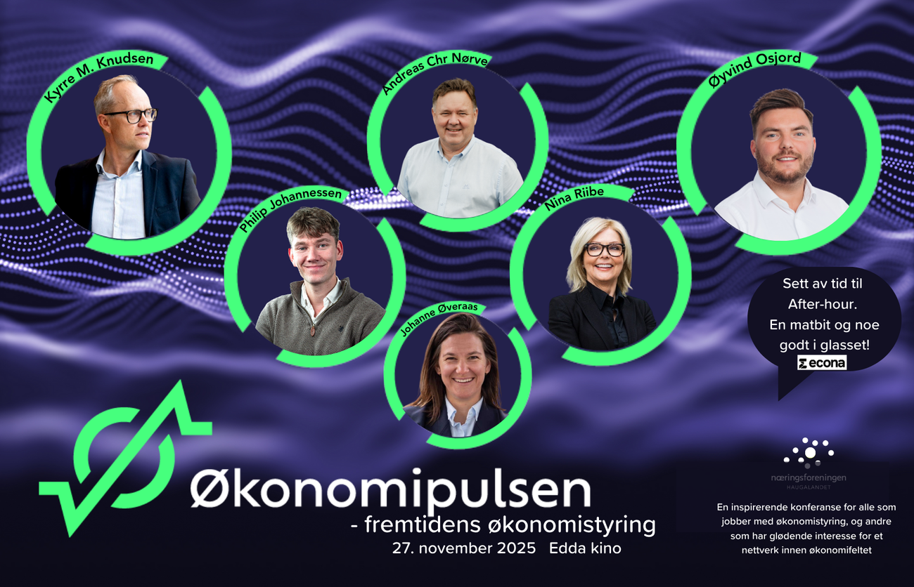 Økonomipulsen-2025