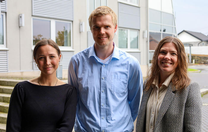 Hvordan skal strømnettet i vår region utvikles for å møte framtidens behov?